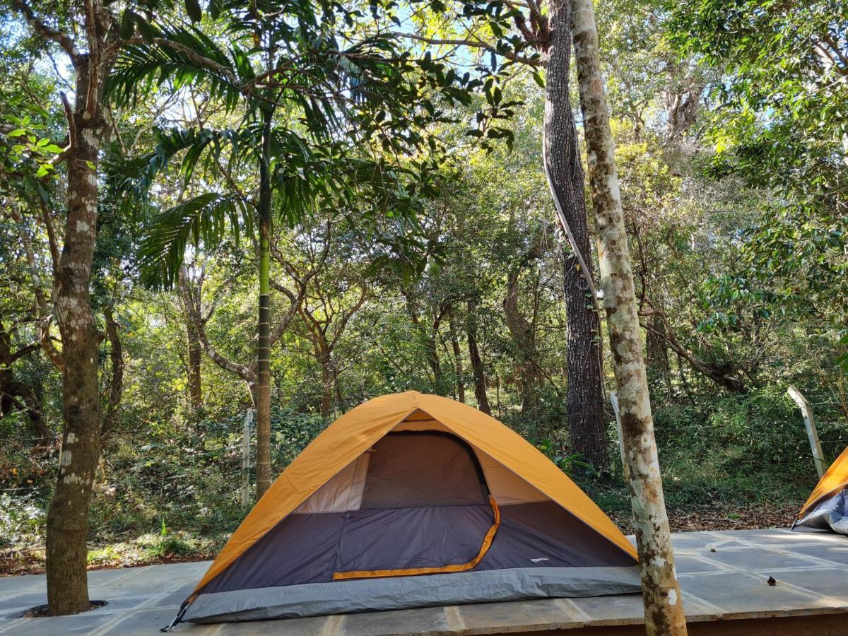 Captain'S Camp Sirsi Εξωτερικό φωτογραφία
